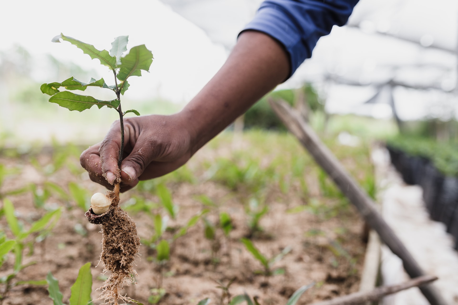 MDS Brasil marca presença na Expo Agro Cotricampo 2022 em Campo Novo