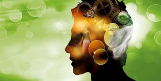 Porto Saúde reforça presença no Rio de Janeiro em Dia de Saúde Integral