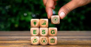 Yelum e HDI Seguros anunciam aportes para projetos incentivados em 2026